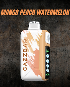 GAZZ BAR ICE GOD Mango Peach Watermelon