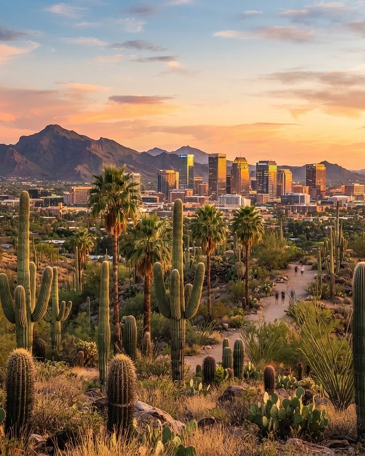 Phoenix desert cityscape at sunrise