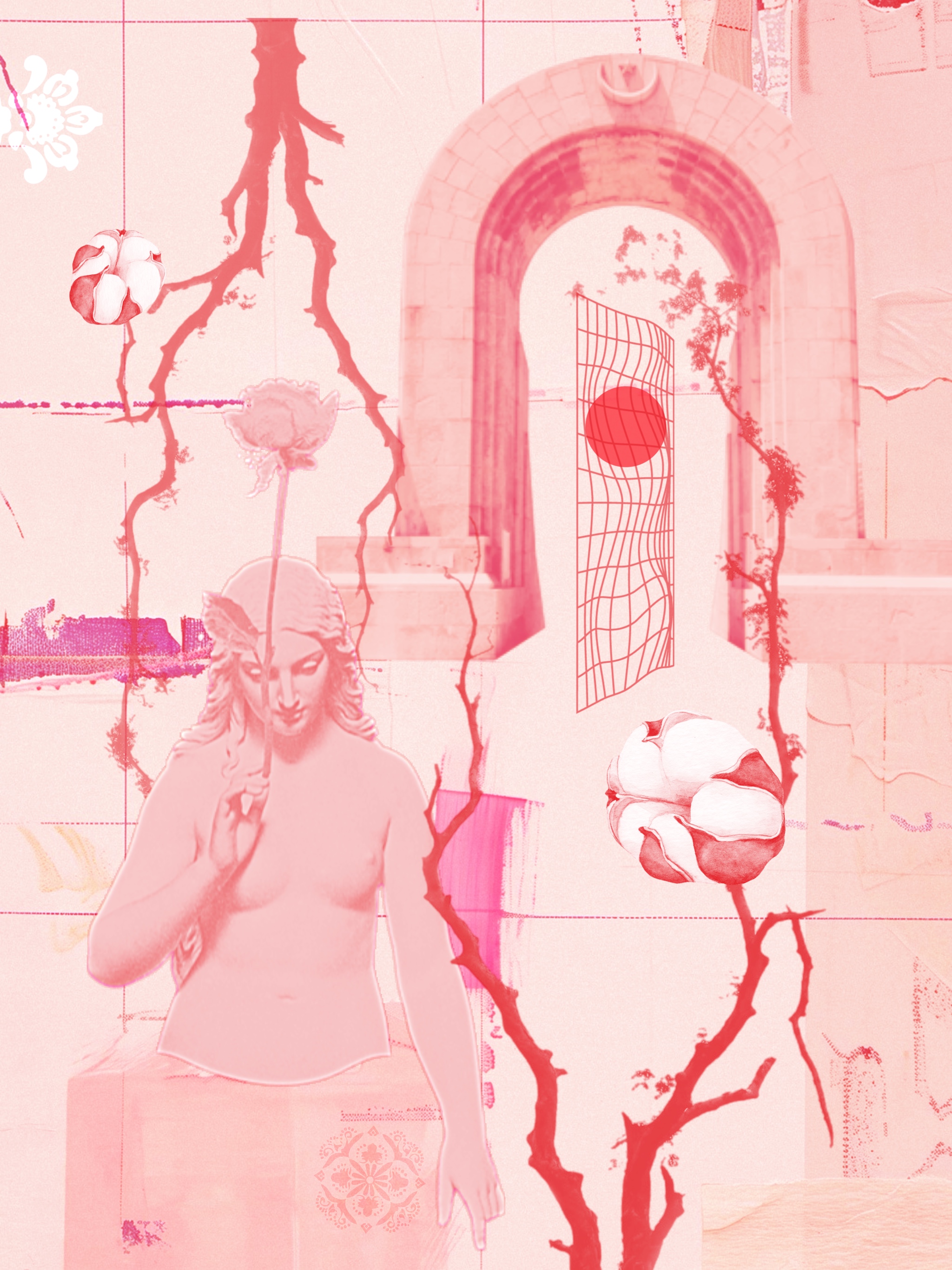 Latinka — Digital Faith