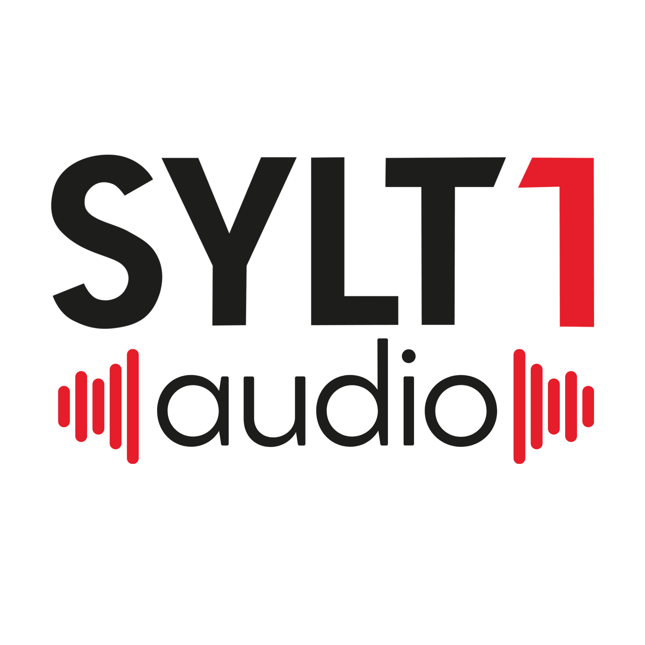 SYLT1 audio