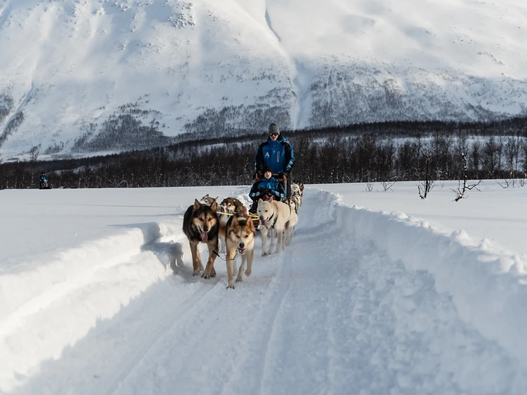 Dog Sledding