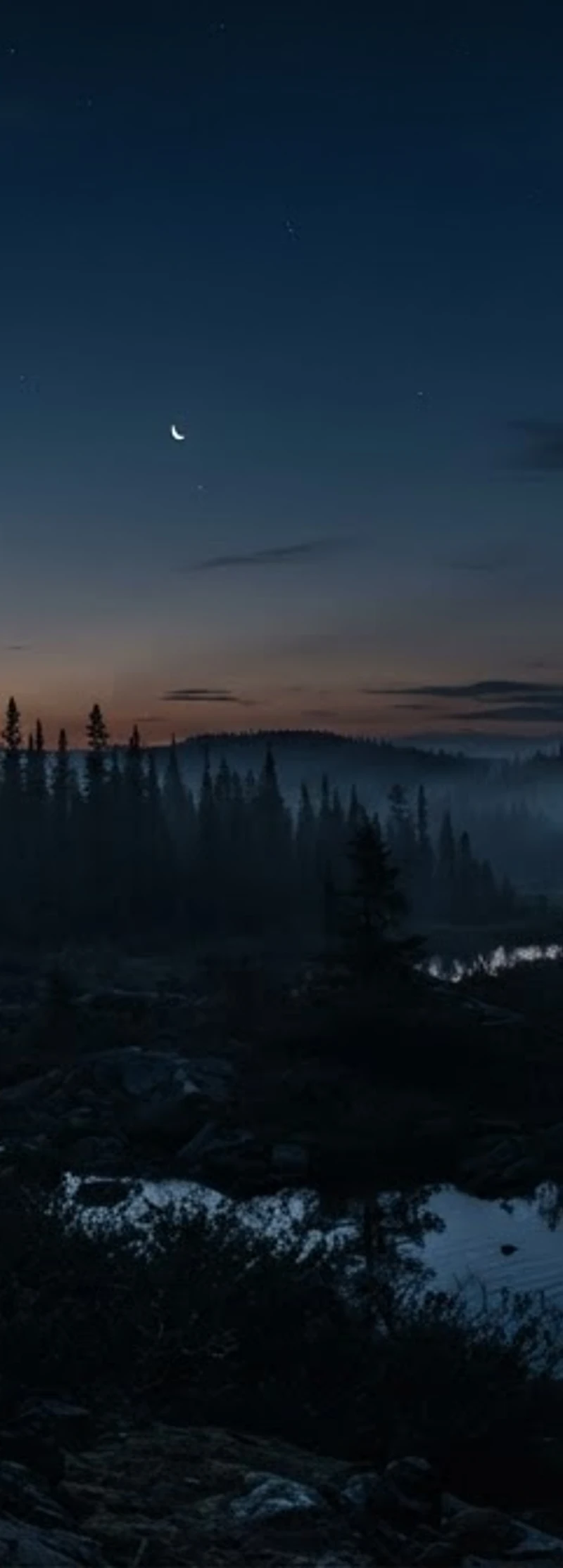 Dark forested horizon