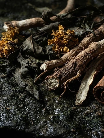 Raw Ayurvedic herbs on stone