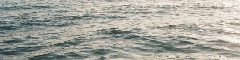 Sunlit water