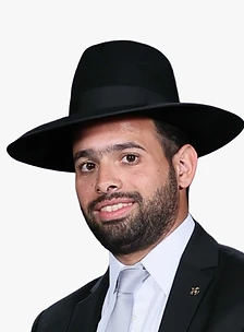 שריה אלישיב, טוען רבני ומגשר