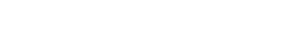 Grupa Polmotor