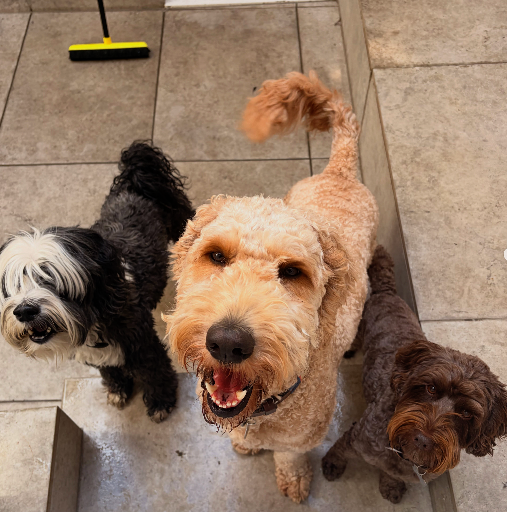 Instagram post
