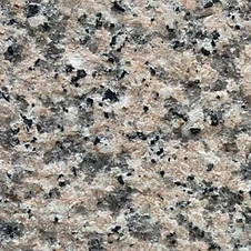 Rosa Porrino