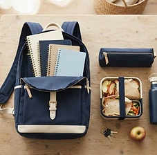 Organized School