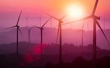 Renewable Energy — RelOnion