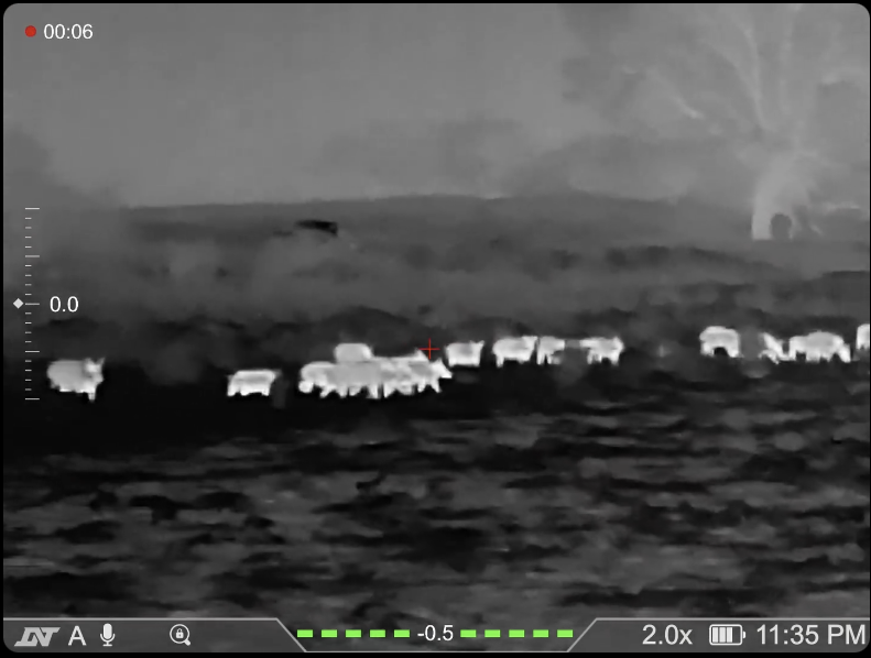 DNT ThermNight 4K thermal viewfinder showing a live thermal sight picture