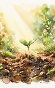 The Tiny Seed
