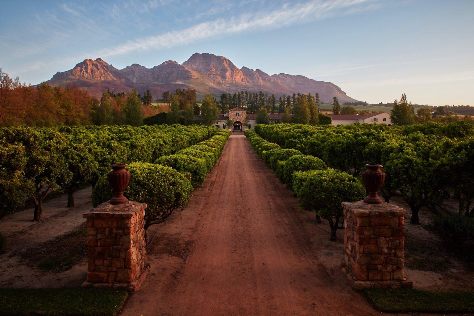 Estate driveway framed by the Winelands mountains