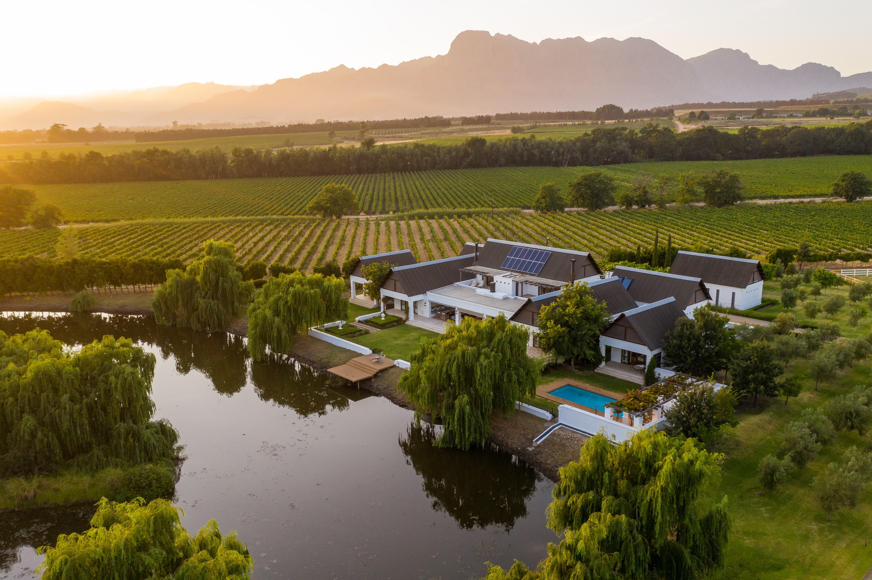 Vineyard estate mirrored in a still farm dam