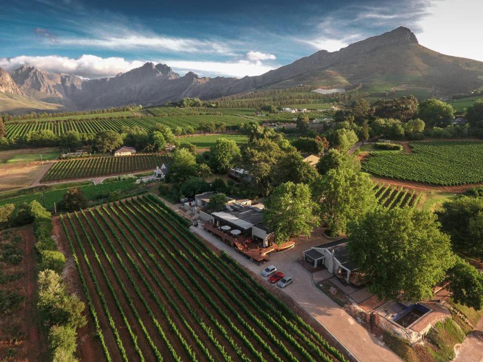 Aerial vineyard estate, heli-tour over the Winelands