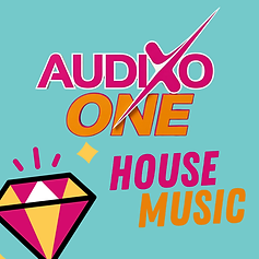AUDIXO ONE House