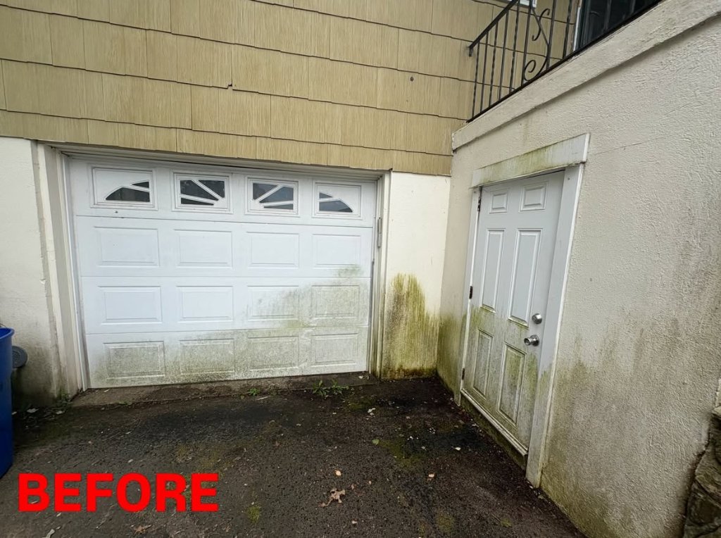 Garage door, stucco walls, and cedar shingles covered in green algae and dark mildew staining before washing