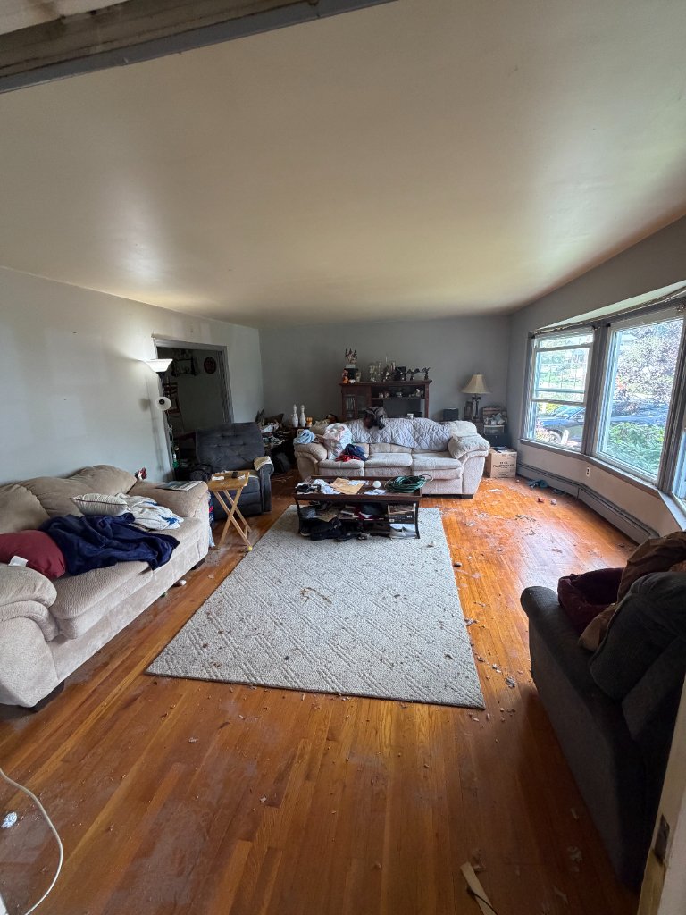 Living room filled with couches, a rug, tables, and scattered belongings before a full clean out