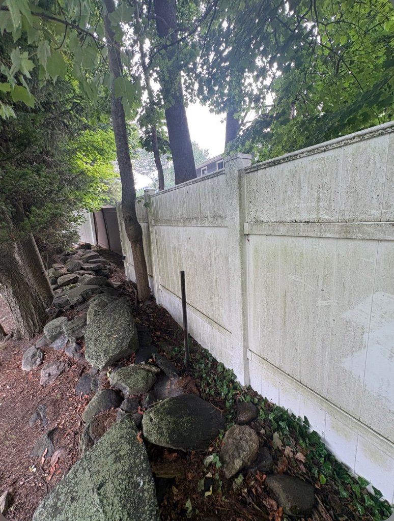 Long white vinyl privacy fence covered in green algae and gray weathering along a shaded tree line before soft washing