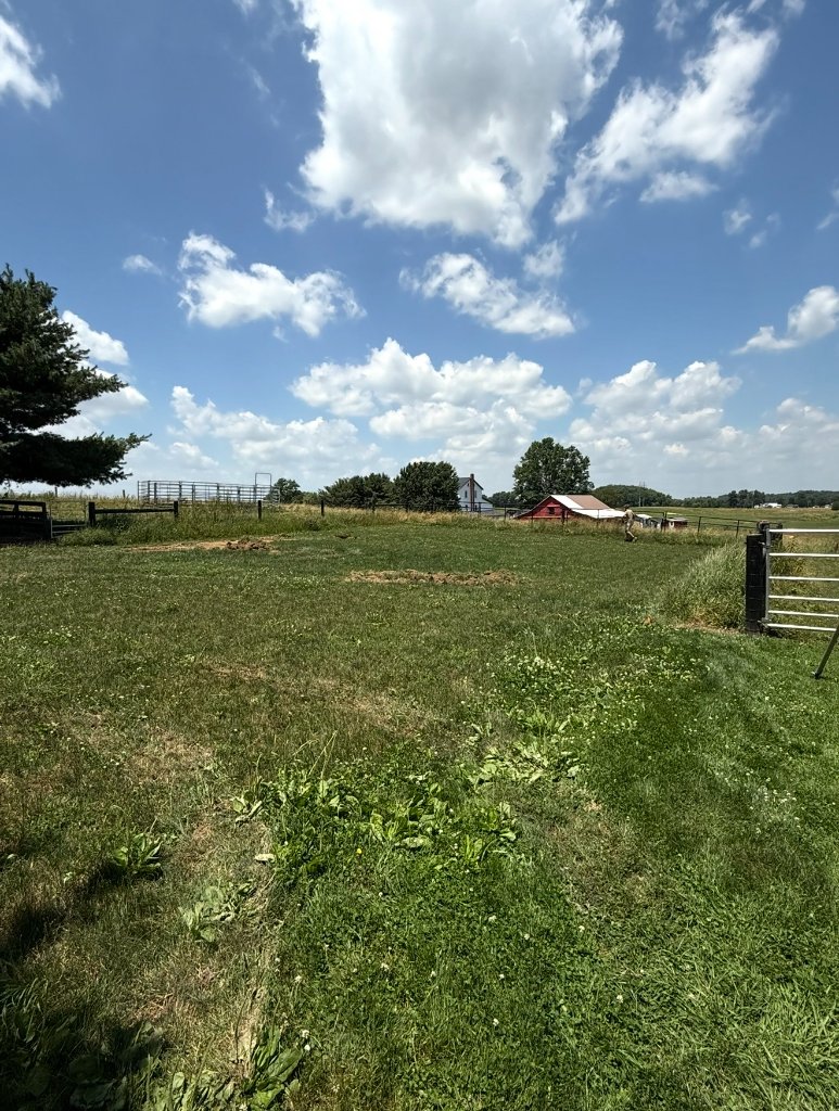 Before — BUILDING PAD SITE PREP