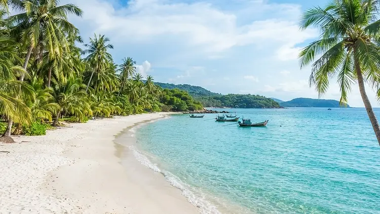 Review Show Tinh Hoa Việt Nam Phú Quốc 2026: Show Diễn Đỉnh Cao