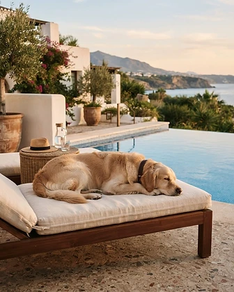 Luxury Pet Care & Sitting