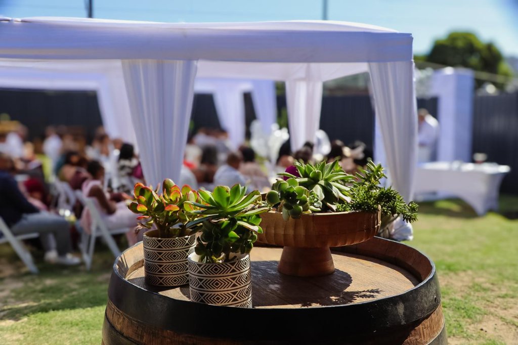 Outdoor Garden