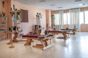 Sala Gyrotonic®