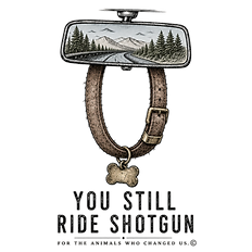 You Still Ride Shotgun  detail