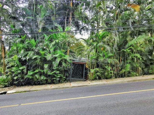 picture 0