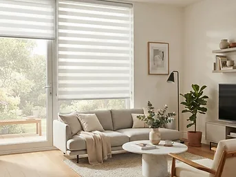 Zebra Blinds
