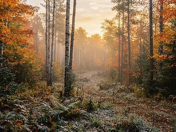 Peak color, first frost