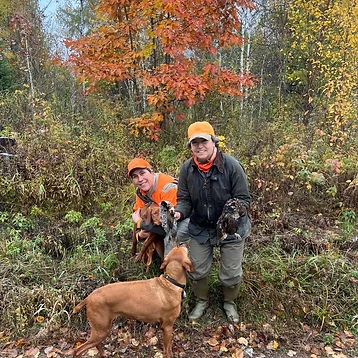 Two hunters, two Vizslas