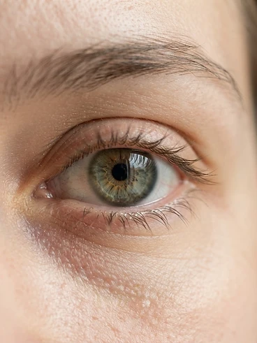 Korean lash lift Before — Straight, natural lashes