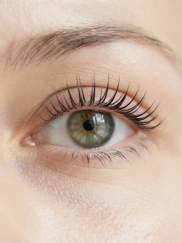 Korean lash lift After — Lifted, curled, defined