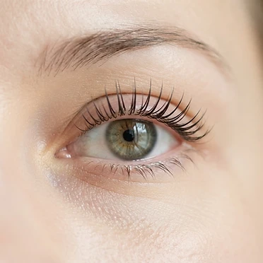 Korean Lash Lift