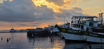 Fishing boats in a harbor at sunset