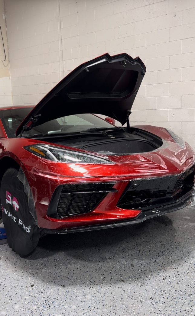 Paint protection film 4