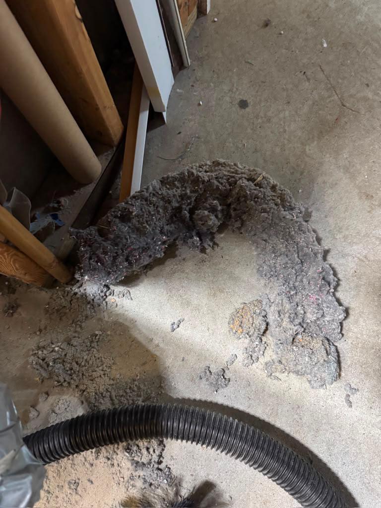 Lint pulled from a dryer vent during a Summit service visit in Forest Hills.