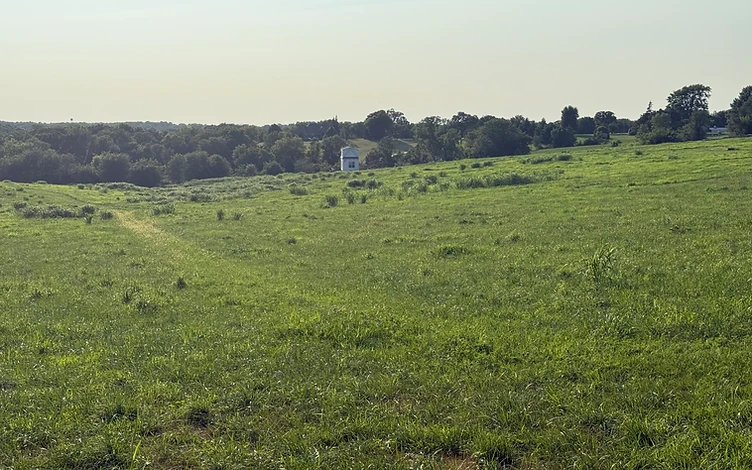 Rolling Missouri Northland pasture with a tree line in the distance on a Triple M job site