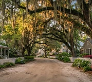 Moss-draped live oaks over a quiet Old Town Bluffton street