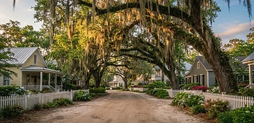 Moss-draped live oaks over a quiet Old Town Bluffton street