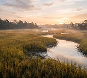 Golden spartina marsh and tidal creek at sunrise in Okatie, SC