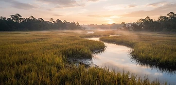 Golden spartina marsh and tidal creek at sunrise in Okatie, SC