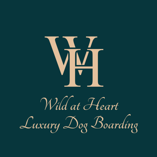 Wild at Heart — Luxury Dog Boarding