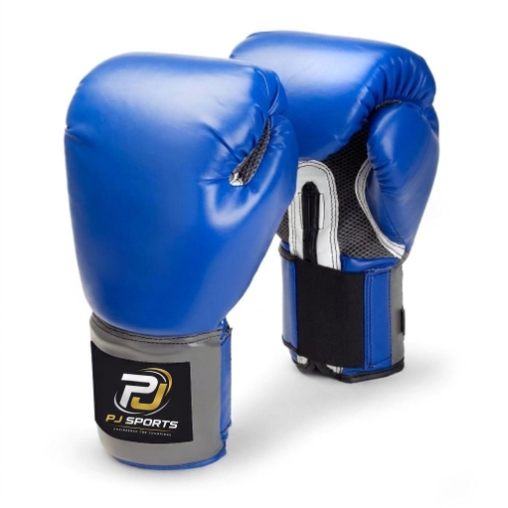 Boxing Gloves — Blue