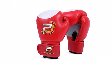Boxing Gloves