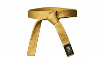 Martial Arts Belts — Gold