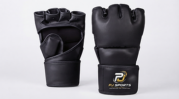 MMA Gloves