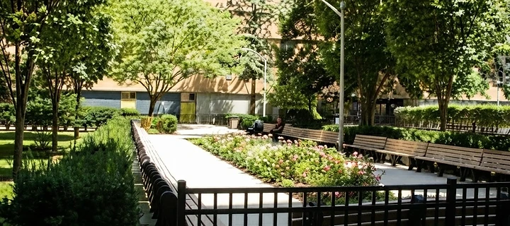 Landscaped courtyard with benches and rose garden